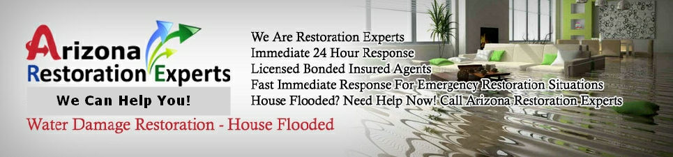 Water Damage Restoration Experts