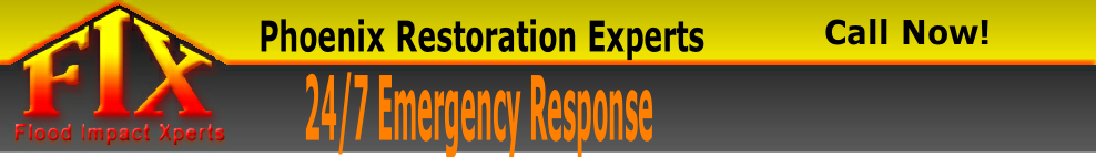 Phoenix Restoration Experts Banner